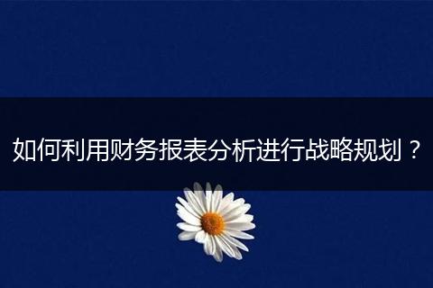 如何利用财务报表分析进行战略规划？