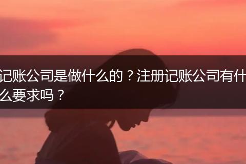 记账公司是做什么的?注册记账公司有什么要求吗?