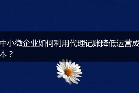 中小微企业如何利用代理记账降低运营成本？