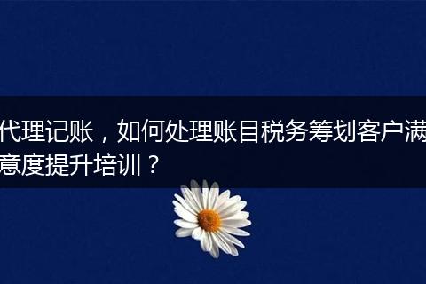 代理记账，如何处理账目税务筹划客户满意度提升培训？