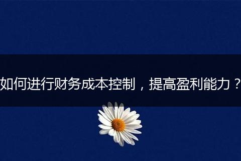 如何进行财务成本控制，提高盈利能力？