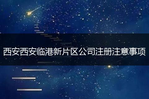 西安西安临港新片区公司注册注意事项