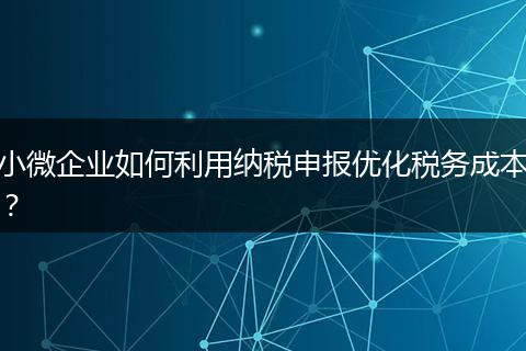 小微企业如何利用纳税申报优化税务成本？