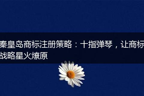 秦皇岛商标注册策略：十指弹琴，让商标战略星火燎原