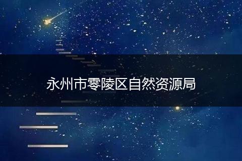 永州市零陵区自然资源局