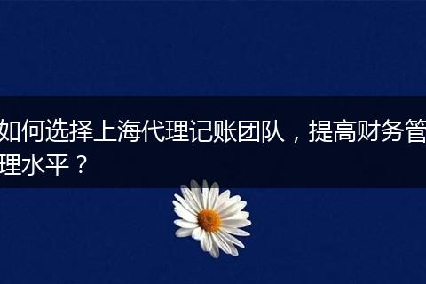 如何选择上海代理记账团队，提高财务管理水平？