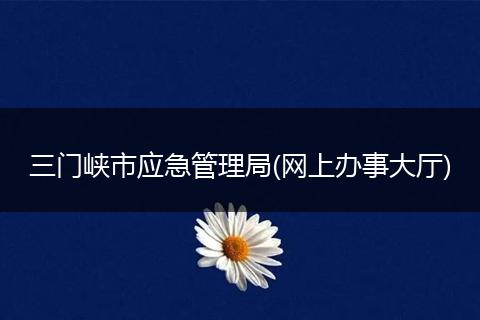 三门峡市应急管理局(网上办事大厅)