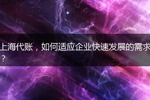 上海代账，如何适应企业快速发展的需求？