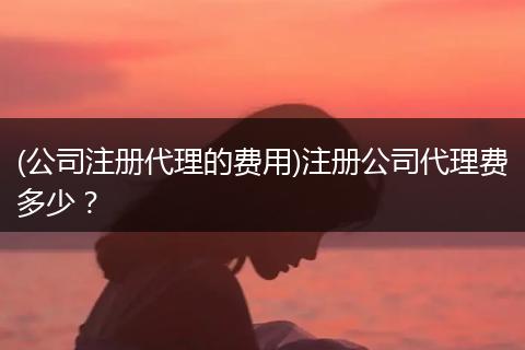 (公司注册代理的费用)注册公司代理费多少？
