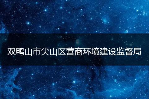 双鸭山市尖山区营商环境建设监督局