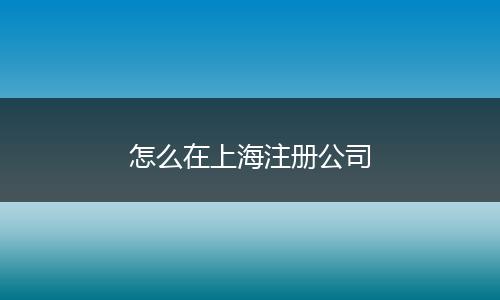 怎么在上海注册公司