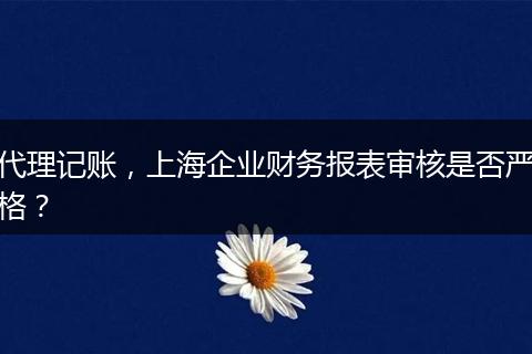 代理记账，上海企业财务报表审核是否严格？