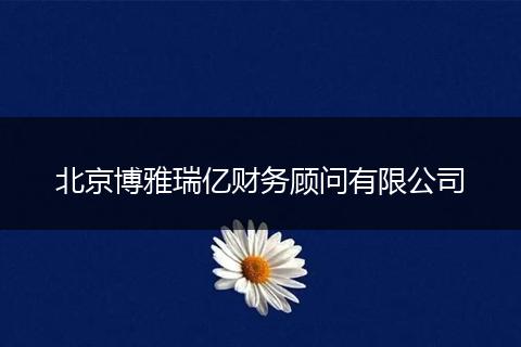 北京博雅瑞亿财务顾问有限公司