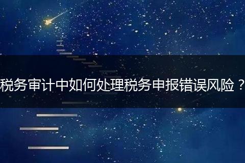 税务审计中如何处理税务申报错误风险？