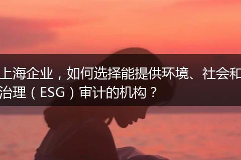 上海企业，如何选择能提供环境、社会和治理（ESG）审计的机构？