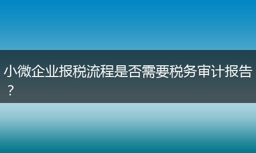 小微企业报税流程是否需要税务审计报告？