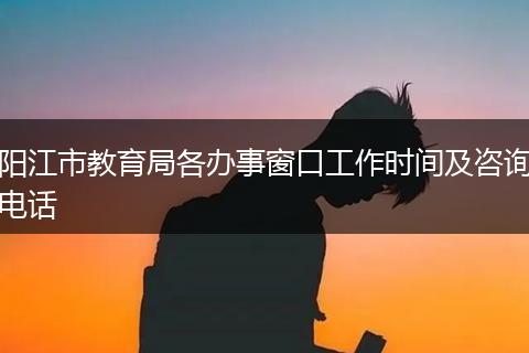 阳江市教育局各办事窗口工作时间及咨询电话
