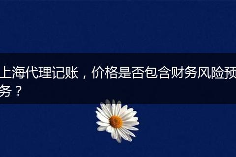 上海代理记账，价格是否包含财务风险预务？