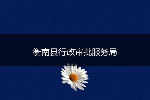 衡南县行政审批服务局