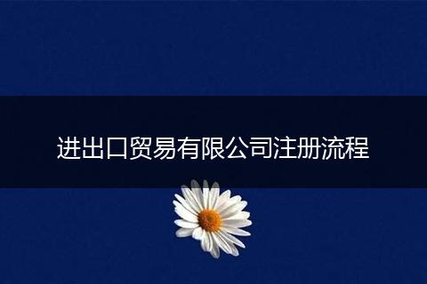 进出口贸易有限公司注册流程