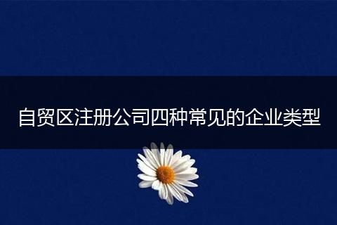自贸区注册公司四种常见的企业类型