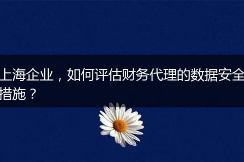 上海企业，如何评估财务代理的数据安全措施？