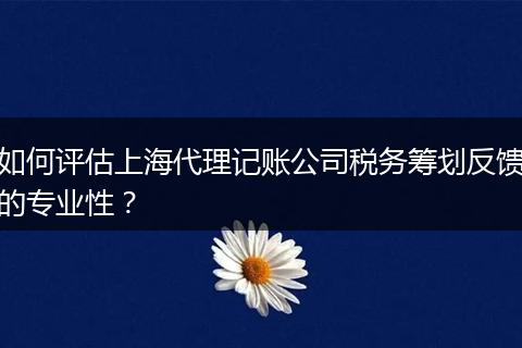 如何评估上海代理记账公司税务筹划反馈的专业性？