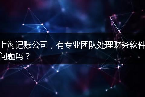 上海记账公司，有专业团队处理财务软件问题吗？