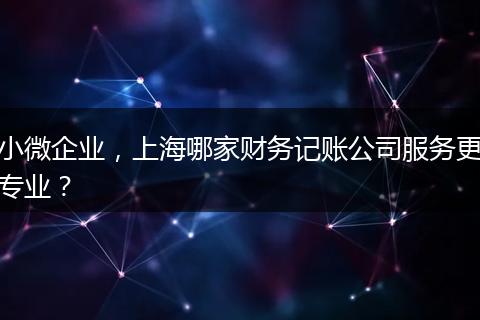 小微企业，上海哪家财务记账公司服务更专业？