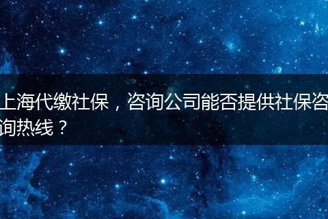 上海代缴社保，咨询公司能否提供社保咨询热线？