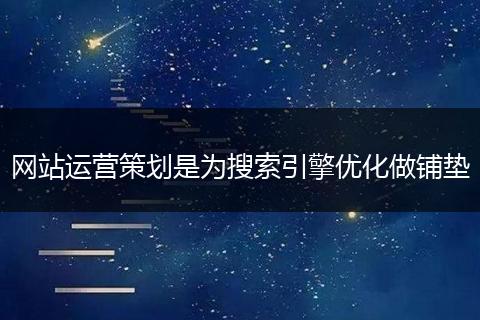 网站运营策划是为搜索引擎优化做铺垫