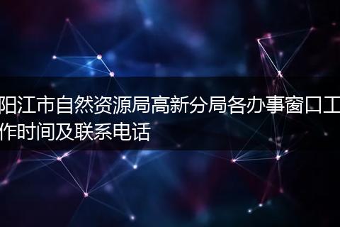 阳江市自然资源局高新分局各办事窗口工作时间及联系电话
