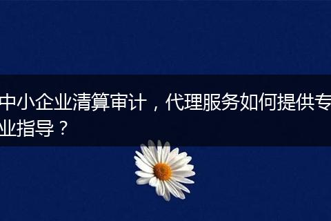 中小企业清算审计，代理服务如何提供专业指导？