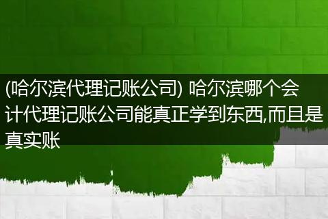 (哈尔滨代理记账公司) 哈尔滨哪个会计代理记账公司能真正学到东西,而且是真实账
