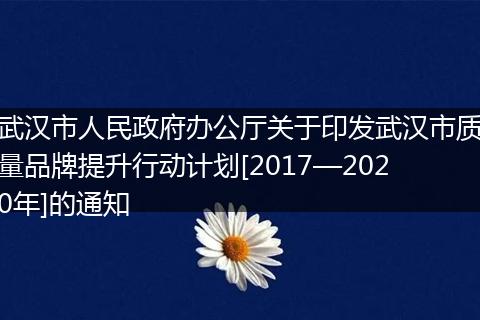 武汉市人民政府办公厅关于印发武汉市质量品牌提升行动计划[2017—2020年]的通知