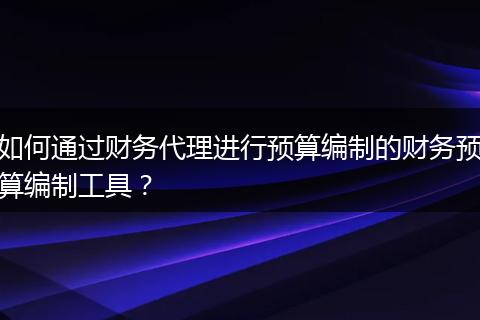 如何通过财务代理进行预算编制的财务预算编制工具？