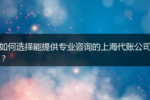 如何选择能提供专业咨询的上海代账公司？