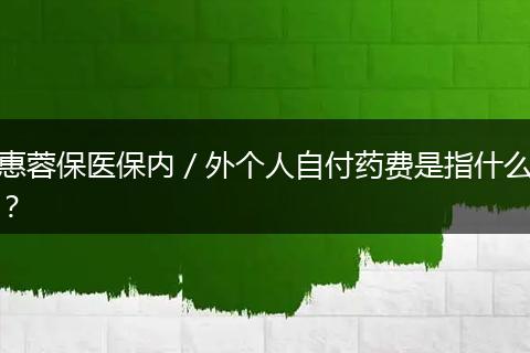 惠蓉保医保内／外个人自付药费是指什么？