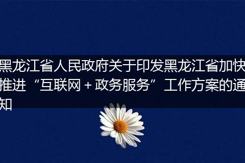 黑龙江省人民政府关于印发黑龙江省加快推进“互联网＋政务服务”工作方案的通知