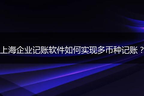 上海企业记账软件如何实现多币种记账？