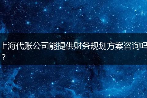 上海代账公司能提供财务规划方案咨询吗？