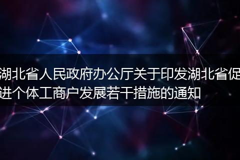湖北省人民政府办公厅关于印发湖北省促进个体工商户发展若干措施的通知