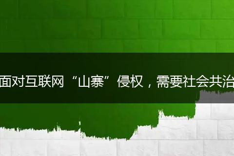 面对互联网“山寨”侵权，需要社会共治