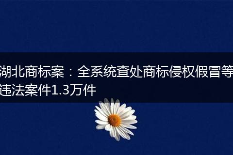 湖北商标案：全系统查处商标侵权假冒等违法案件1.3万件
