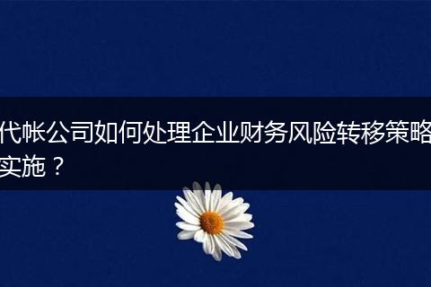 代帐公司如何处理企业财务风险转移策略实施？