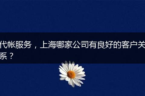 代帐服务，上海哪家公司有良好的客户关系？