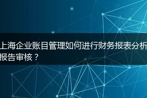 上海企业账目管理如何进行财务报表分析报告审核？