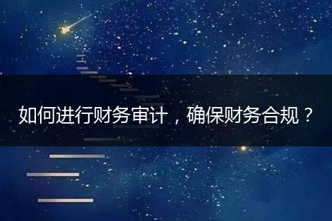 如何进行财务审计，确保财务合规？