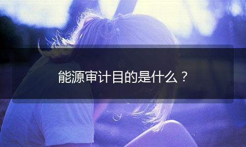 能源审计目的是什么？
