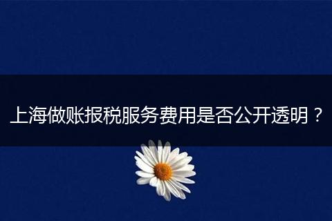 上海做账报税服务费用是否公开透明？
